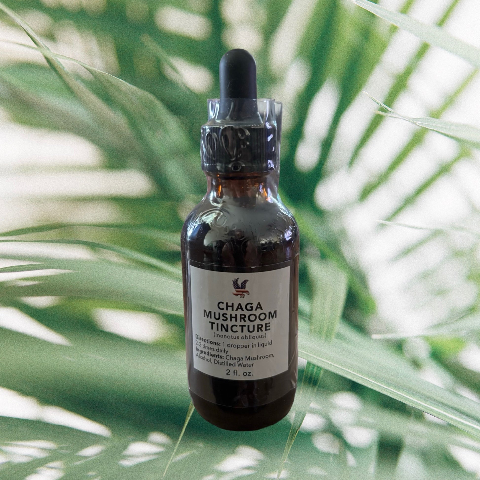 Chaga Mushroom Tincture