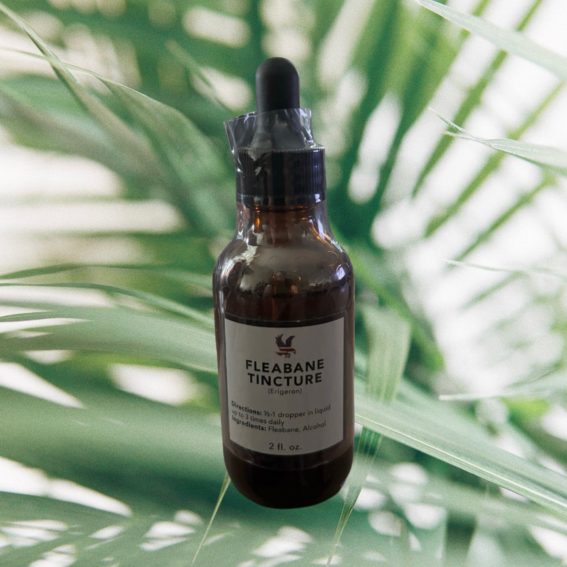Fleabane Tincture