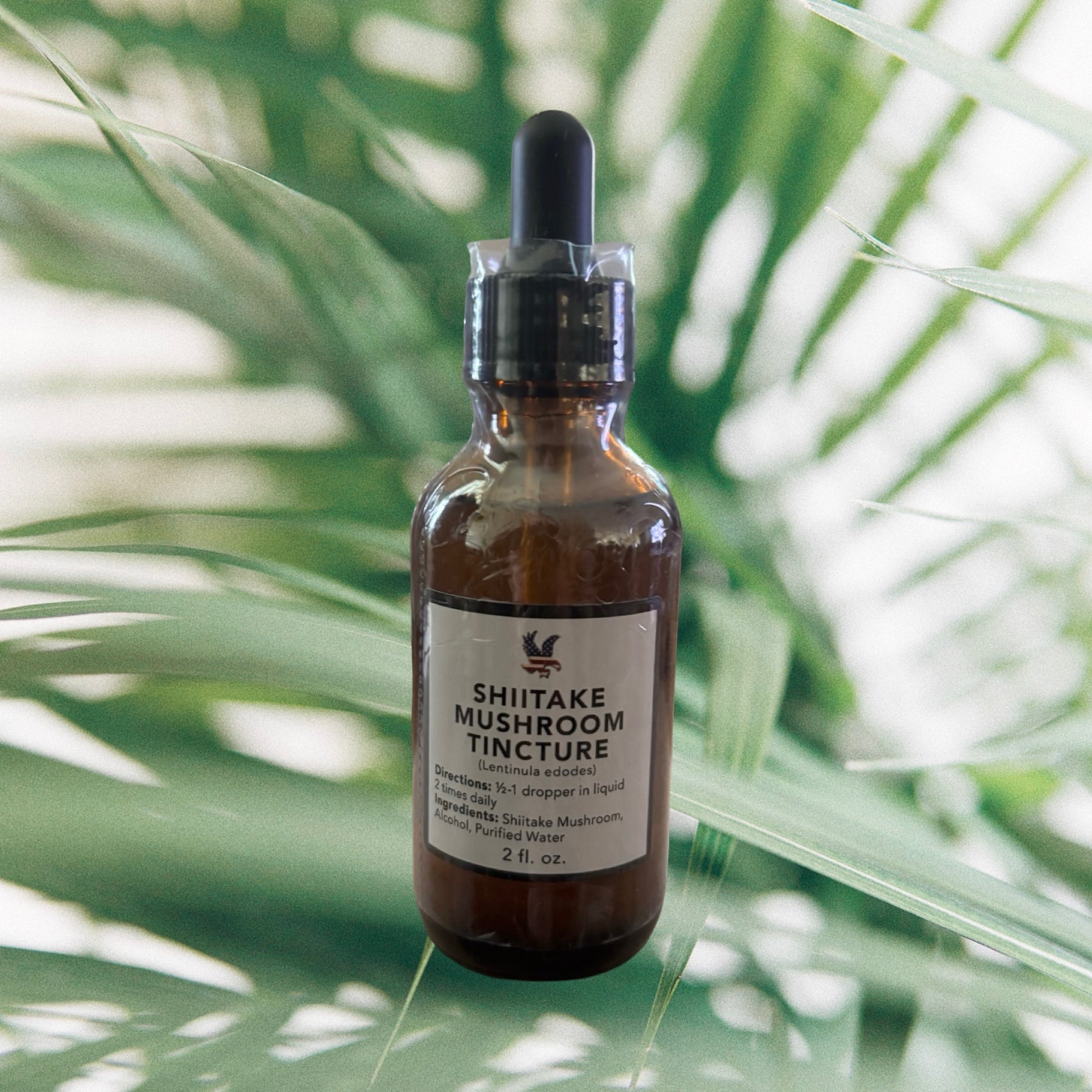 Shitakke Mushroom Tincture